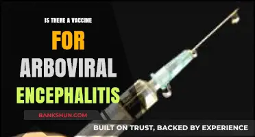 Arboviral Encephalitis: Exploring Vaccine Availability and Prevention Strategies