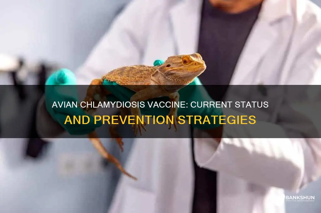 is there a vaccine for avian chlamydiosis