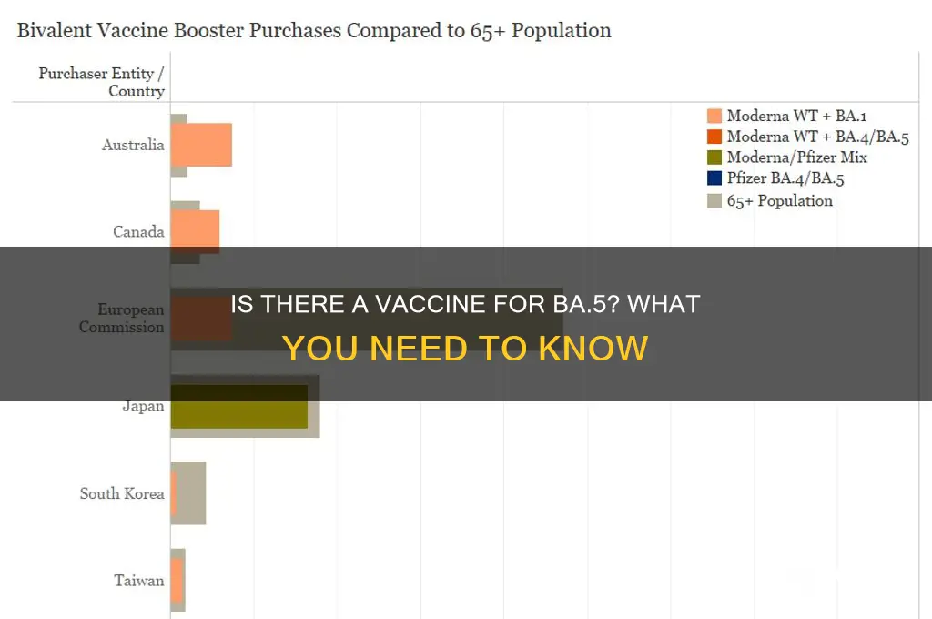is there a vaccine for ba 5