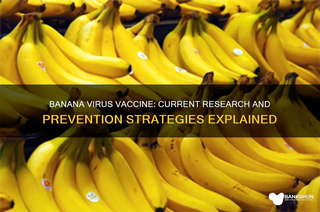 is there a vaccine for banna virus