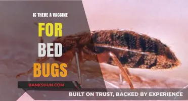 Can a Vaccine Eradicate Bed Bugs? Exploring Scientific Possibilities