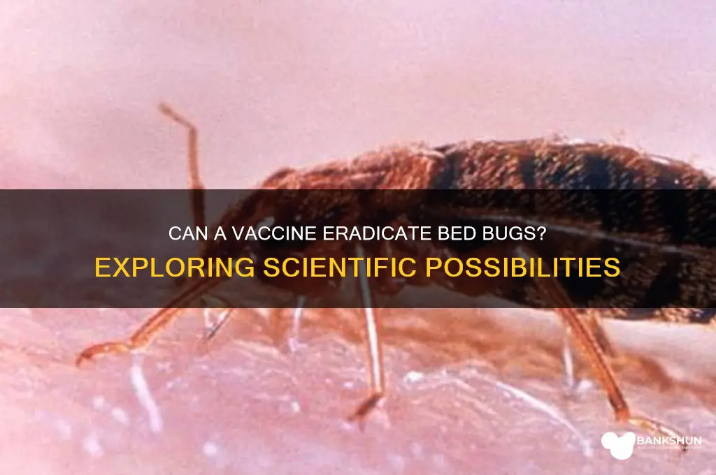 is there a vaccine for bed bugs