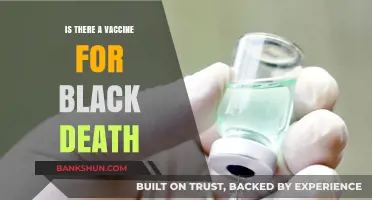 Black Death Vaccine: Current Status and Future Possibilities Explained