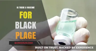 Black Plague Vaccine: Current Status and Future Prospects Explained