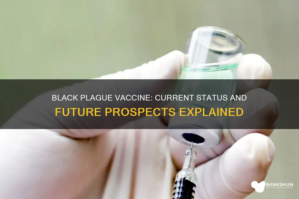is there a vaccine for black plage