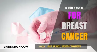 Breast Cancer Vaccine: Current Research and Future Possibilities Explored