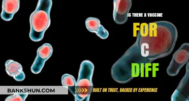 Exploring C. Diff Vaccine: Current Research and Prevention Strategies