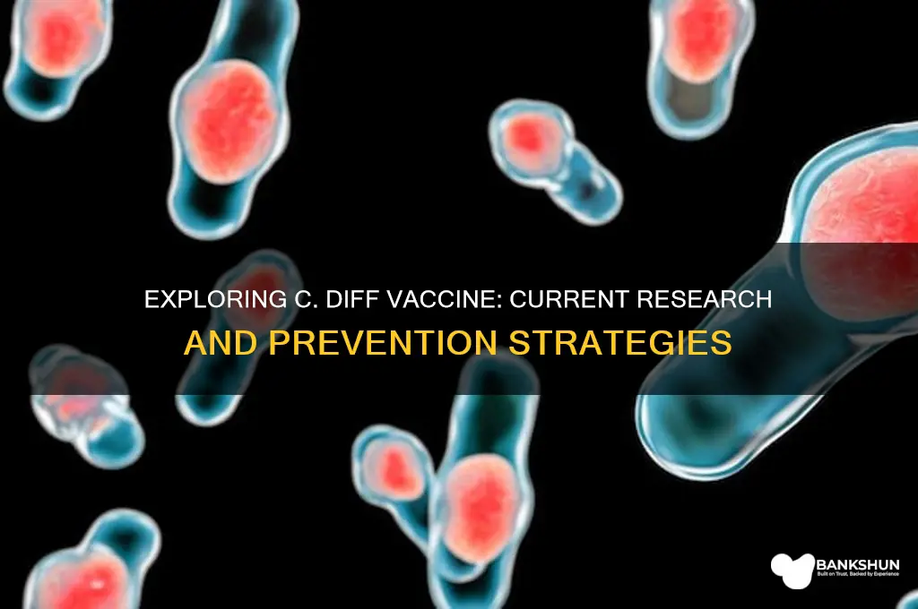 is there a vaccine for c diff