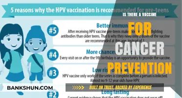 Exploring Cancer Prevention: Are Vaccines the Key to Reducing Risk?