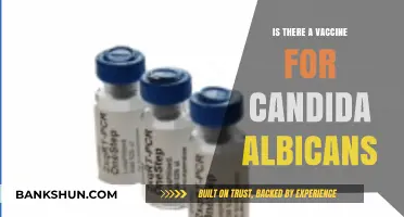Exploring Candida Albicans: Current Vaccine Research and Developments