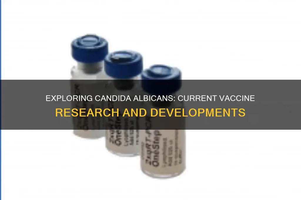 is there a vaccine for candida albicans