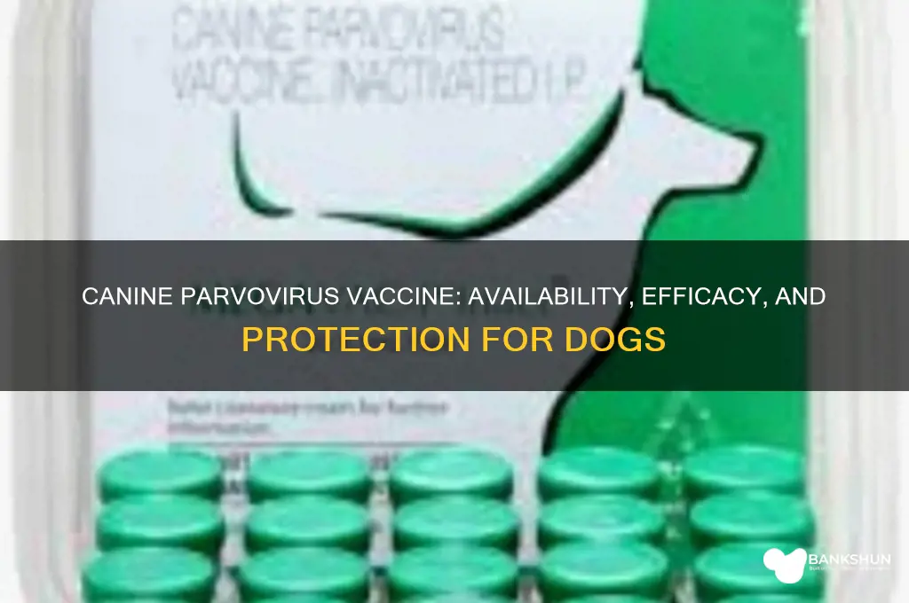 is there a vaccine for canine parvovirus