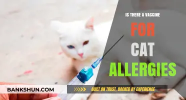 Can a Vaccine Cure Cat Allergies? Exploring the Latest Research