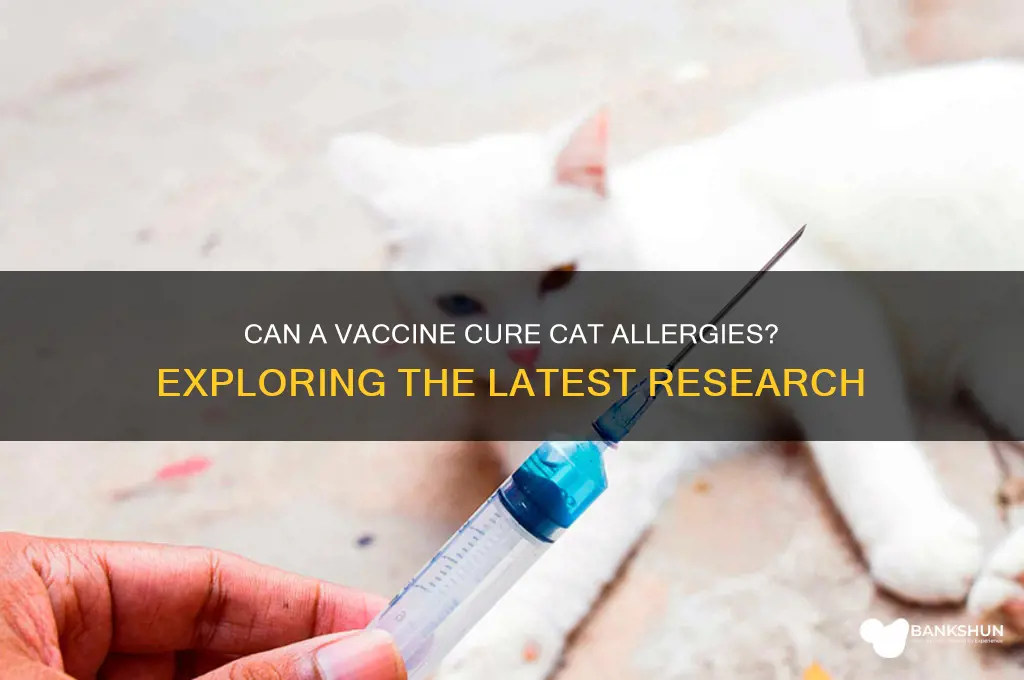 is there a vaccine for cat allergies