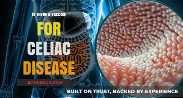 Exploring the Latest Research: Is a Celiac Disease Vaccine Possible?