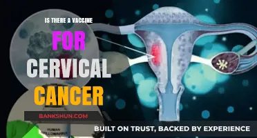 Cervical Cancer Vaccine: Facts, Availability, and Prevention Strategies Explained