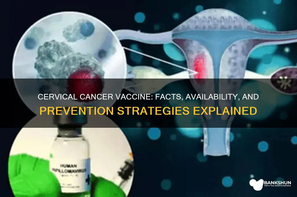 is there a vaccine for cervical cancer