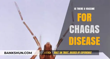Chagas Disease Vaccine: Current Status and Future Prospects