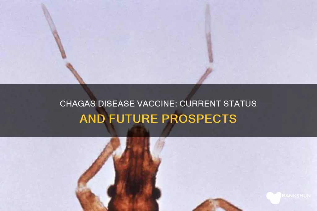 is there a vaccine for chagas disease