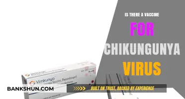 Chikungunya Virus: Current Vaccine Status and Prevention Strategies