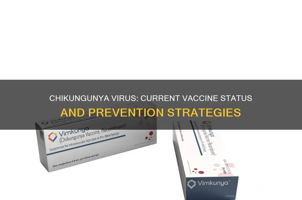is there a vaccine for chikungunya virus
