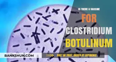 Exploring the Existence of a Clostridium Botulinum Vaccine: Facts and Insights