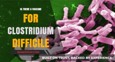 Exploring the Possibility of a Clostridium Difficile Vaccine: What We Know