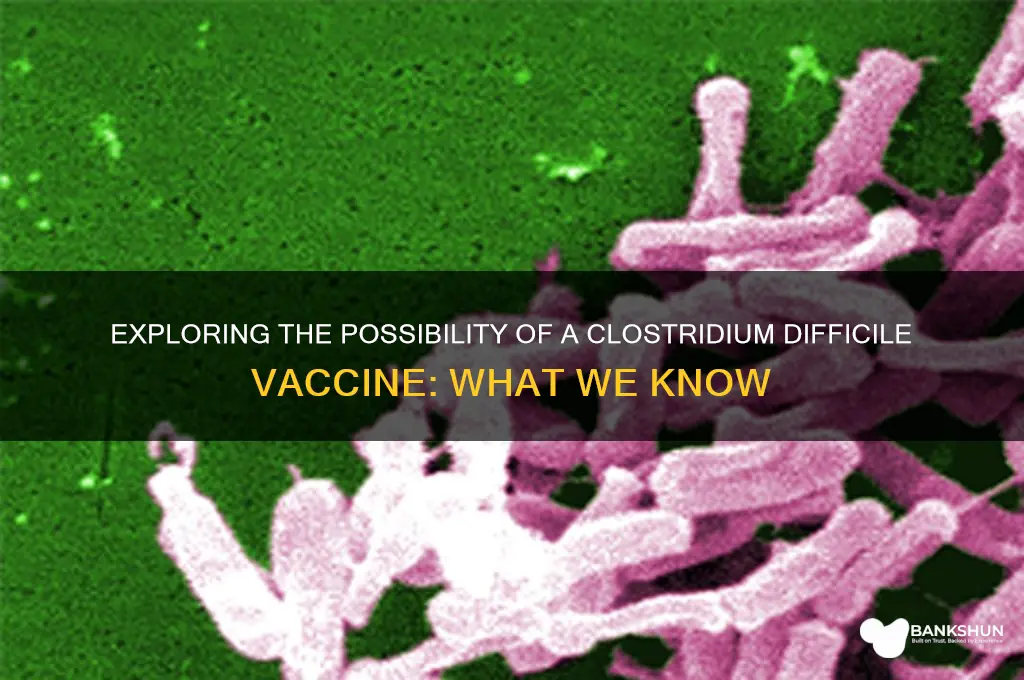 is there a vaccine for clostridium difficile