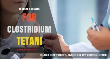 Clostridium Tetani Vaccine: Availability, Effectiveness, and Prevention Explained
