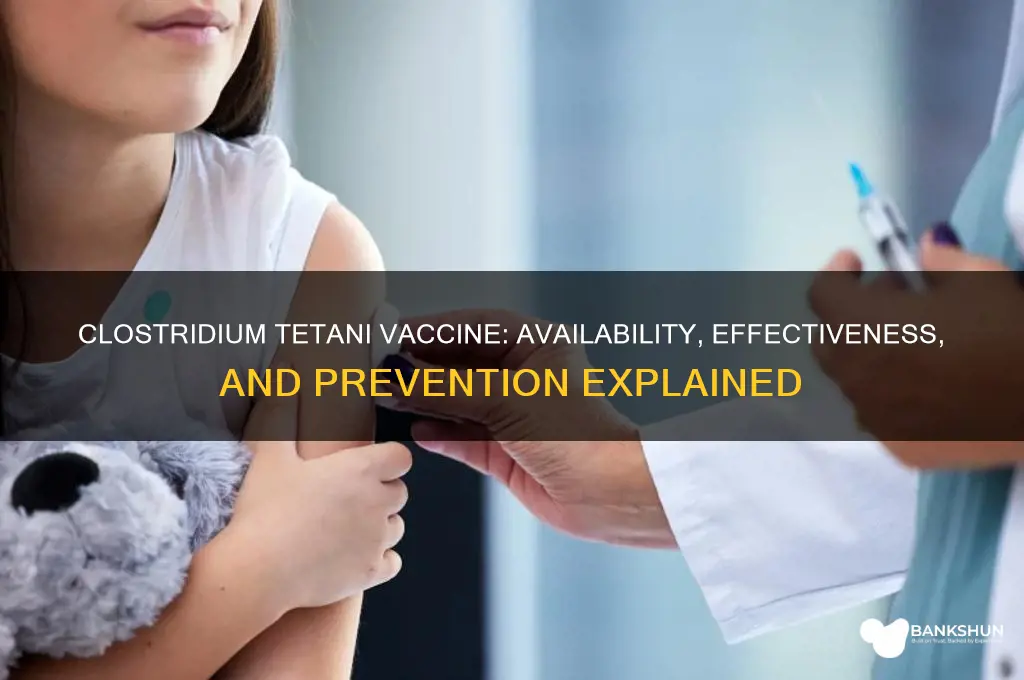is there a vaccine for clostridium tetani