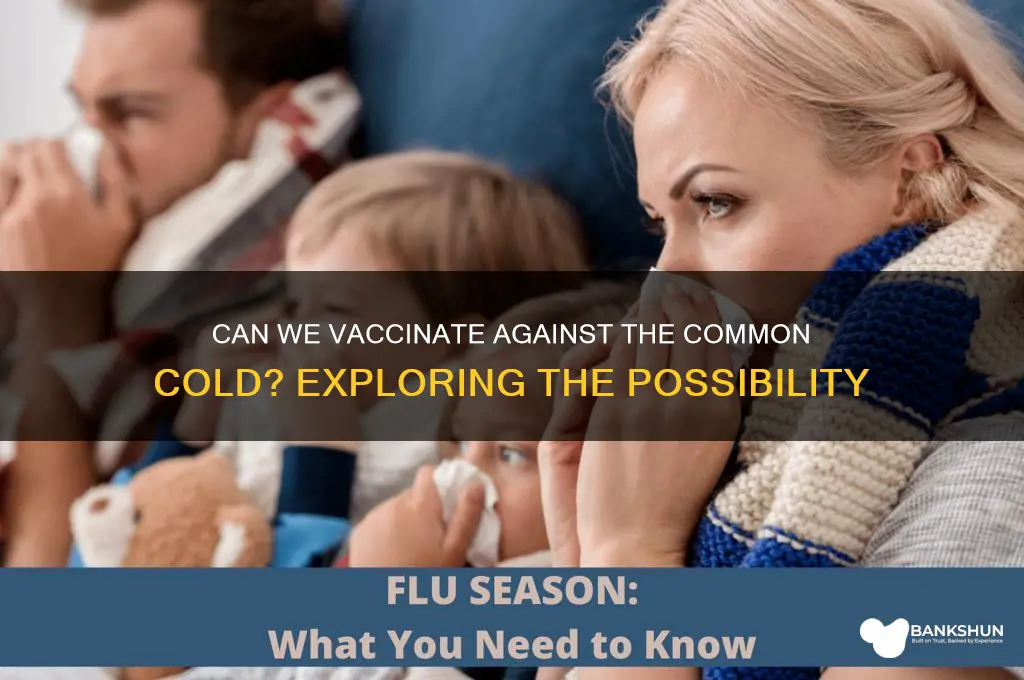 is there a vaccine for common cold