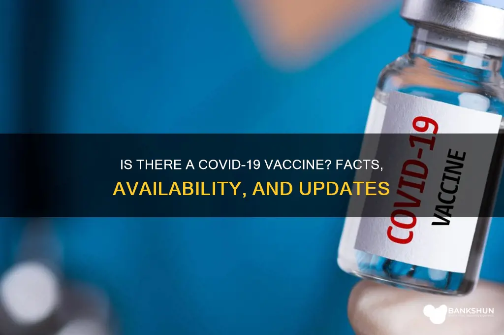 is there a vaccine for corona cirus