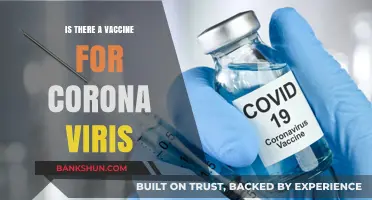 Is There a COVID-19 Vaccine? Latest Updates and Facts