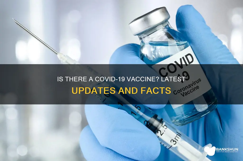 is there a vaccine for corona viris