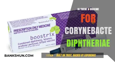 Diphtheria Vaccine: Protection Against Corynebacterium Diphtheriae Explained