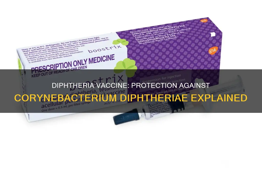 is there a vaccine for corynebacterium diphtheriae