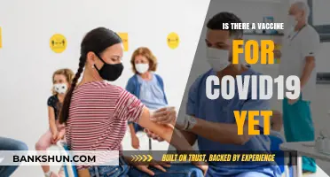 COVID-19 Vaccine Update: Availability, Effectiveness, and Global Rollout