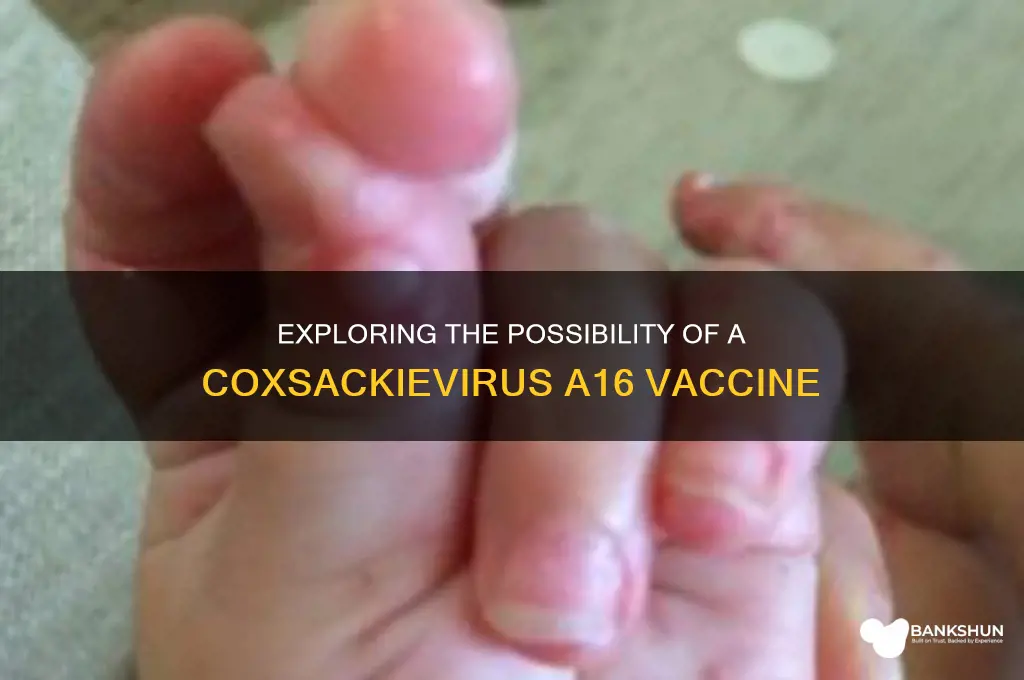 is there a vaccine for coxsackievirus a16