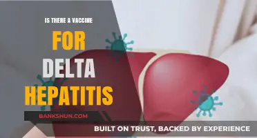 Delta Hepatitis Vaccine: Current Status and Prevention Strategies Explained