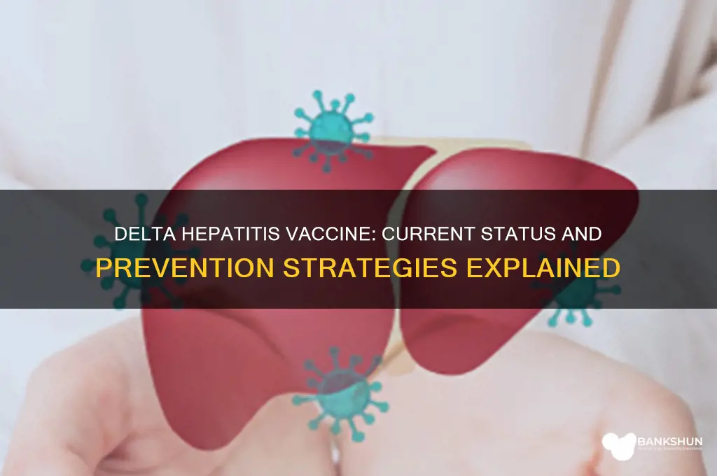 is there a vaccine for delta hepatitis