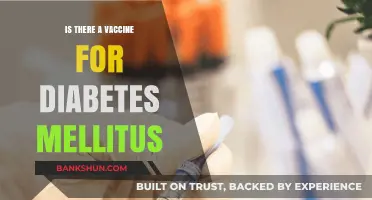Exploring the Possibility of a Diabetes Mellitus Vaccine: Fact or Fiction?