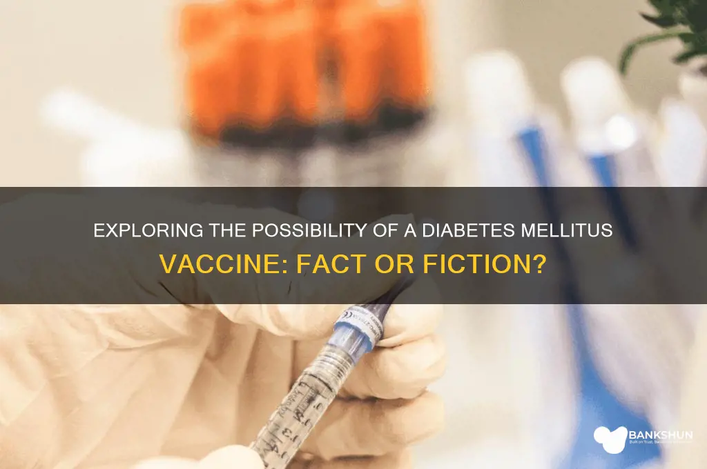 is there a vaccine for diabetes mellitus