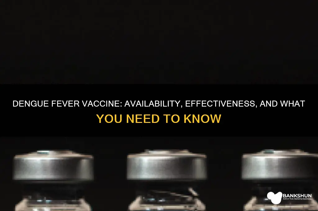 is there a vaccine for duenge fever