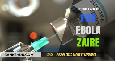 Ebola Zaire Vaccine: Current Status and Future Prospects Explained