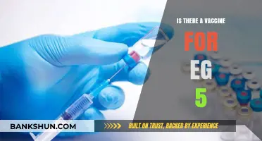 Exploring the Availability of an EG.5 Vaccine: What We Know
