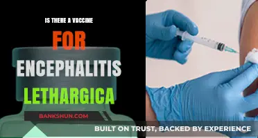 Exploring Encephalitis Lethargica: Vaccine Availability and Prevention Insights