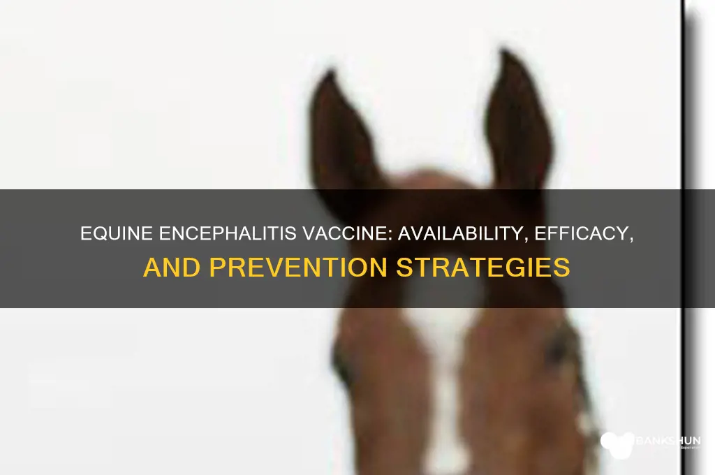 is there a vaccine for equine encephalitis