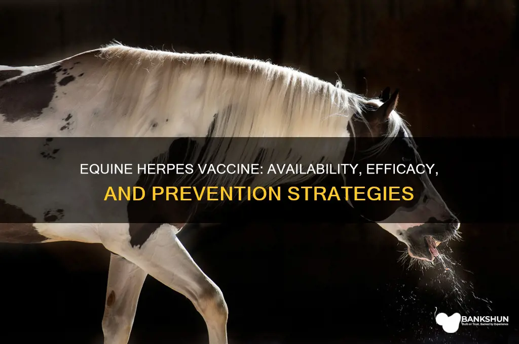 is there a vaccine for equine herpes