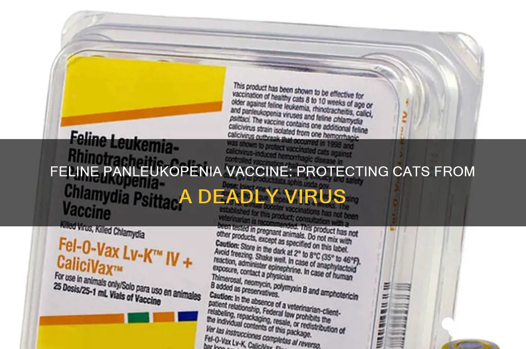is there a vaccine for feline panleukopenia