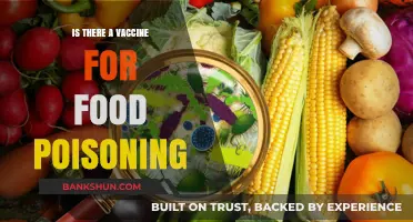 Can Vaccines Prevent Food Poisoning? Exploring the Science and Possibilities